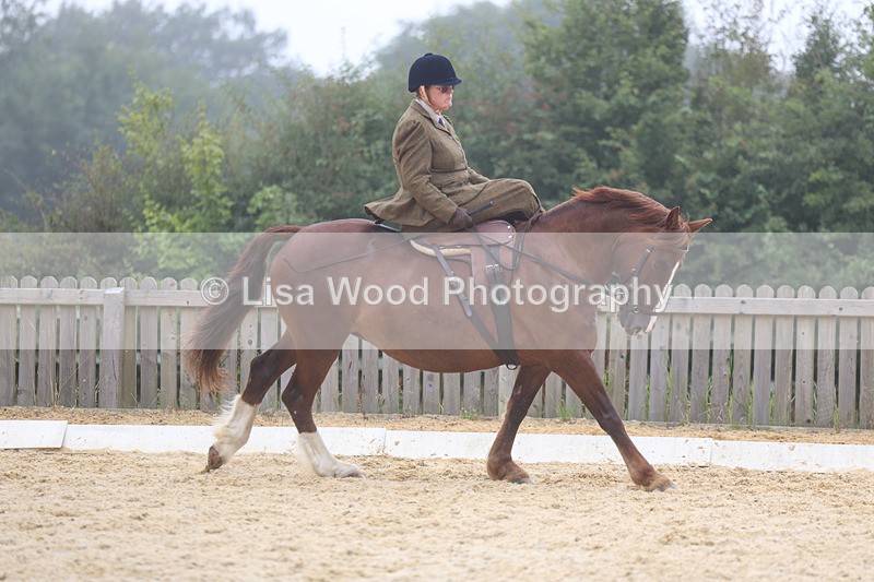 3E7A6881 - Class 5: Prelim to Music