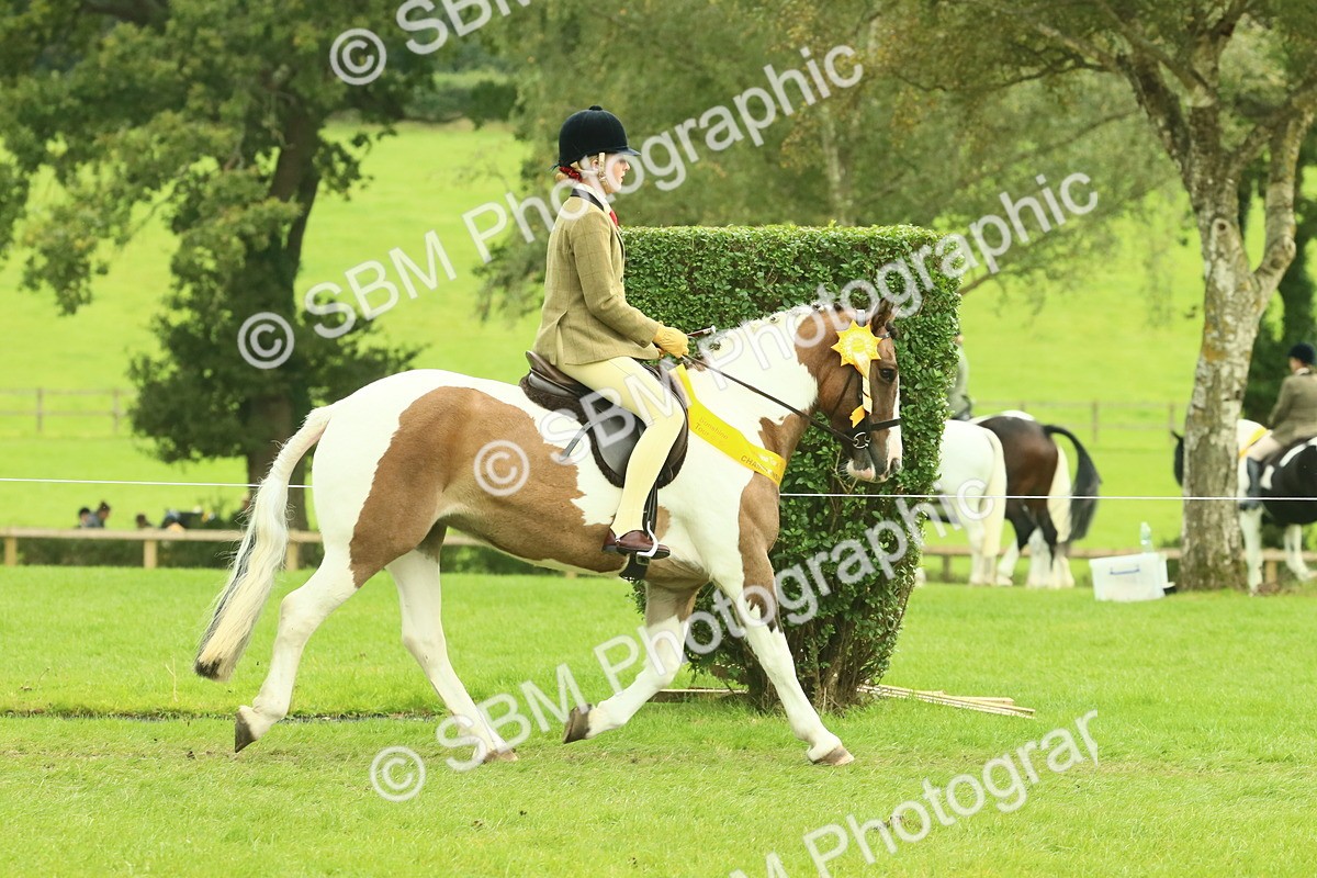 SBM_74999 - Ridden Pony Supreme Championship