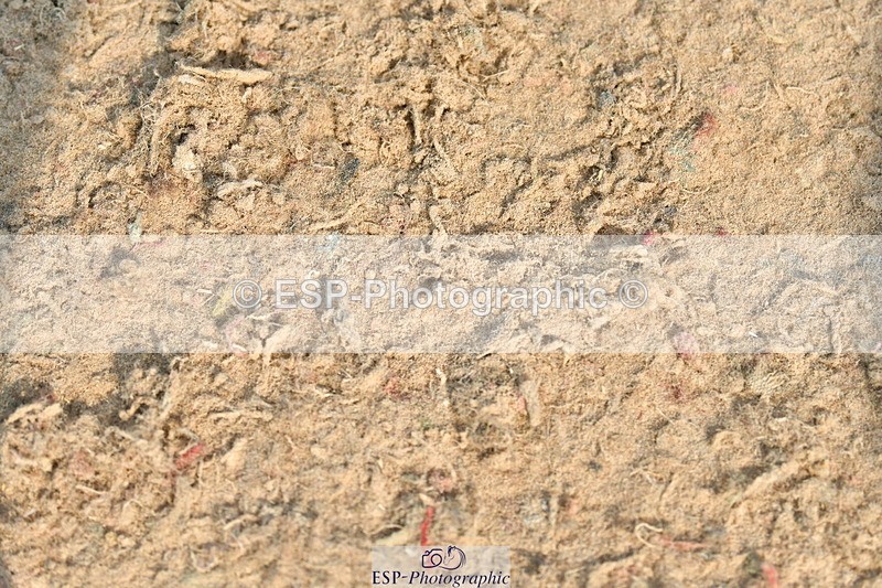 230721A-093425-04772 - Cls 26, 5 Yr Olds 1.10m