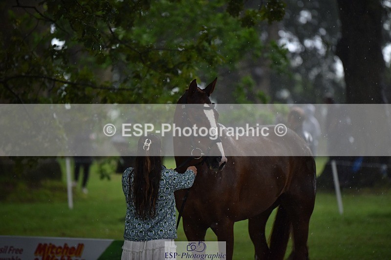 240522-153122-00400 - 355-GLOBAL_EXOTIC-Jemima_Stratton