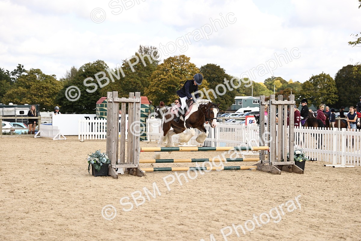 SBM_63756 - J12 - Junior Pony 55cm Championship