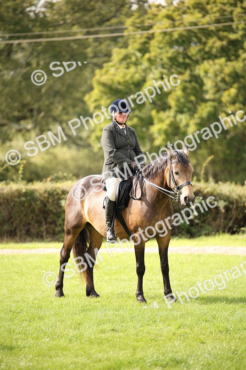 SBM_50035 - S26 - Young Veteran - Ridden