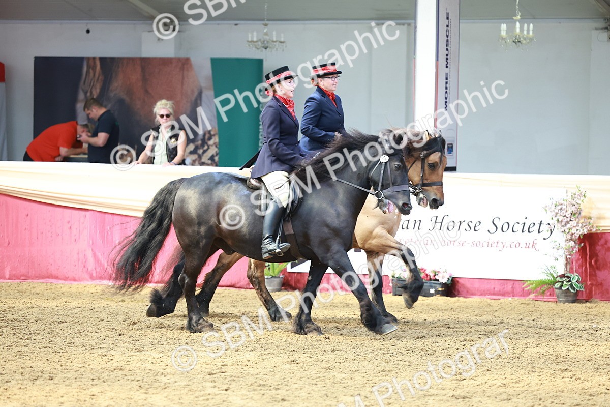 SBM_15537 - Class 109 - Ridden Pairs -Section A