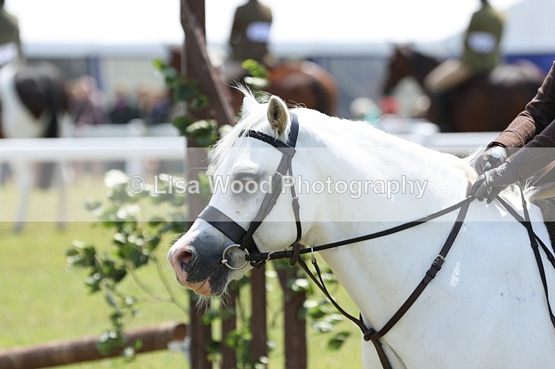 JPP_1852 - Class 18: Tiny Tots Working Hunter Pony