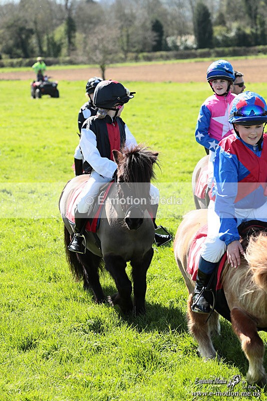 Shet 060426 360 - Shetland Pony Racing Paxford Races Easter Mon 06/04/26