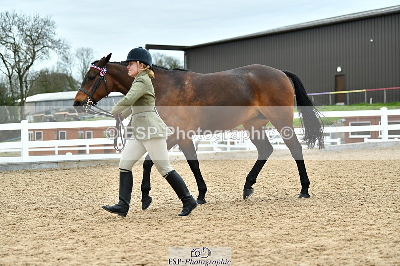 230416A-135652-04975 - Cls 60 Ridden Show Horse