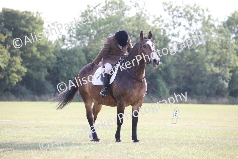 20250731-0594 - Class 1 - Intro 4