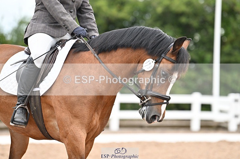 250705-175538-04471 - N2 Section BDNOV2 16.29 to 17.46