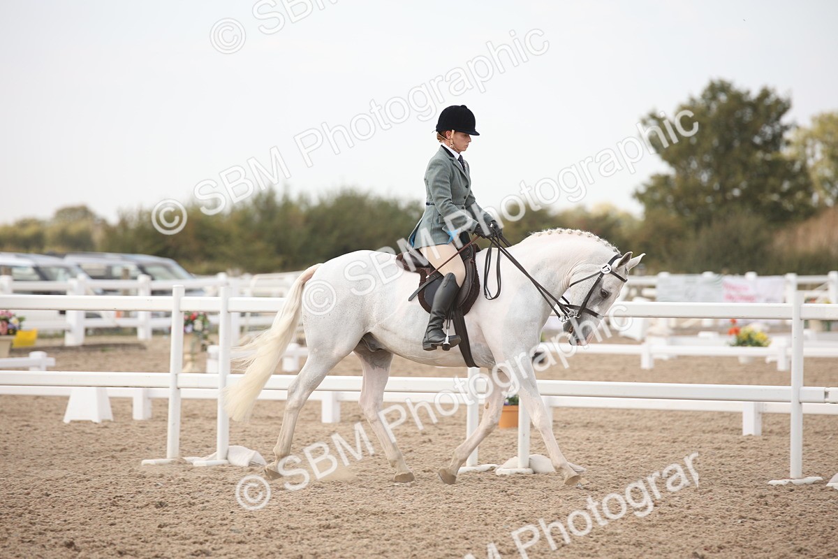 SBM_08764 - Class 12R Regional Ridden Pre-Vet