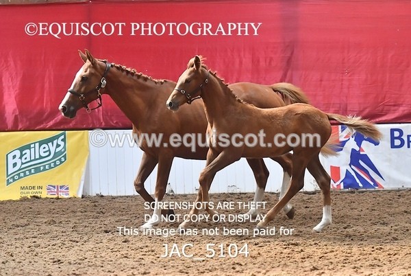 JAC_5104 - 9 Zinzipan