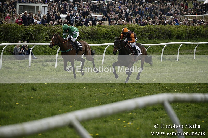 PtP 170417 194 - Old Berks Point-to-Point Lockinge 17/04/17