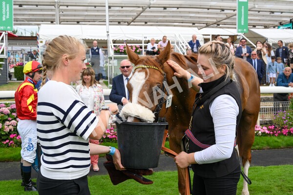 yr04092022r3-52 - Race 3 2.55pm The Elevator Company Garrowby Stakes