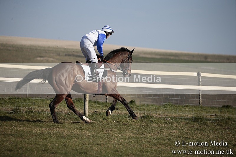 PtP 240218 316 - Vine & Craven Hunt Point-to-Point Barbury racecourse 24/02/18