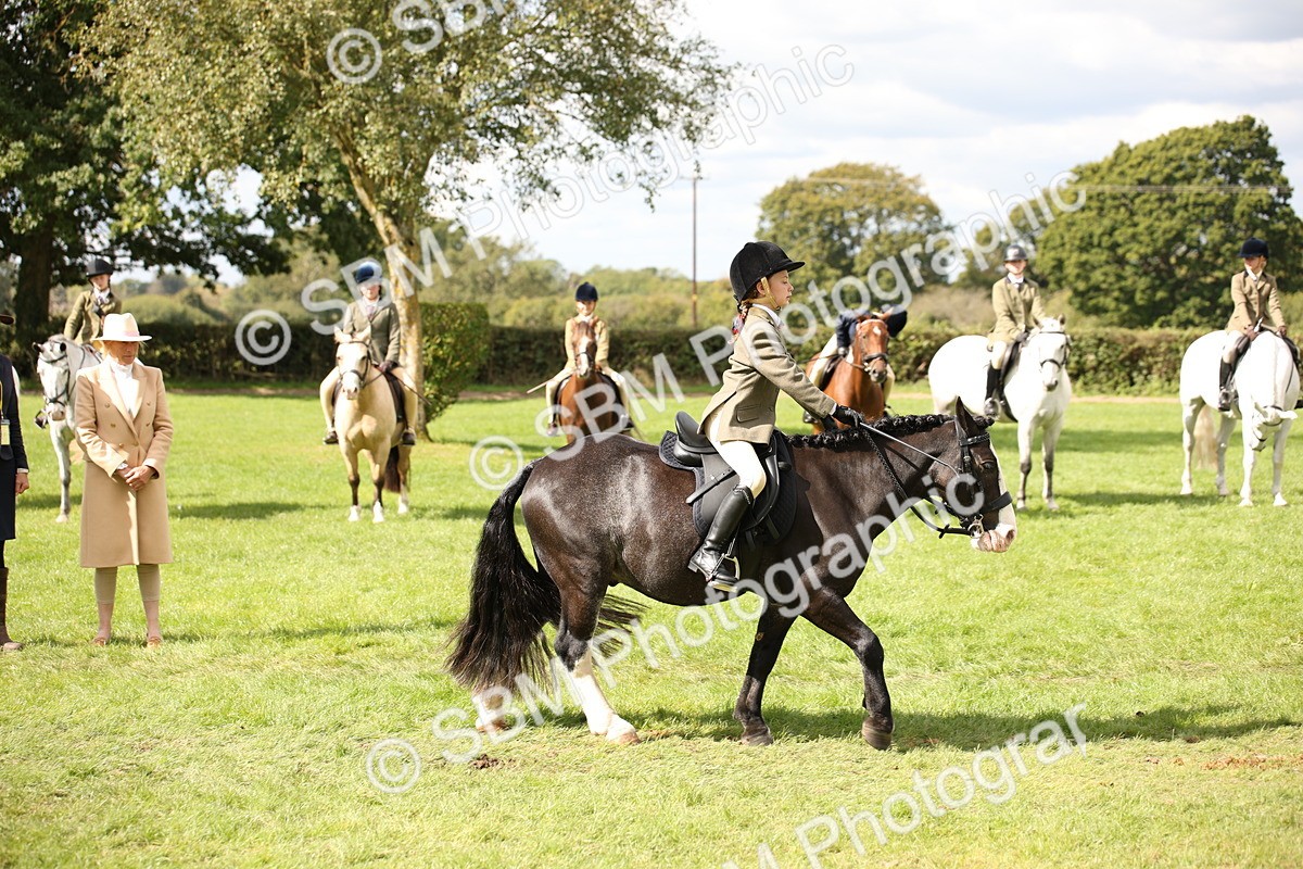 SBM_42276 - S13 - Pony Club Pony