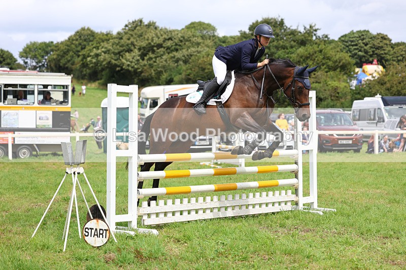 3E7A6969 - Class 5: Senior British Novice/90cm open