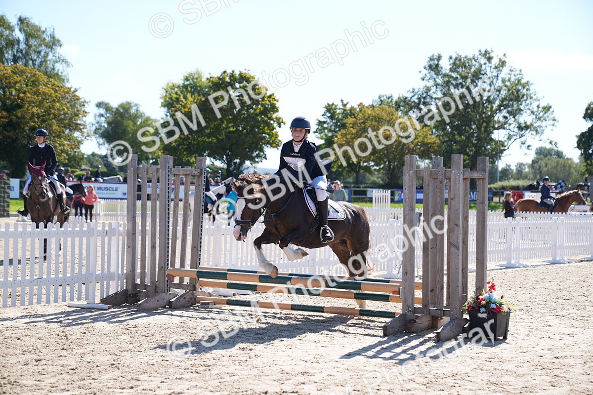 SBM_19542 - J57 - Clear Round 50cm