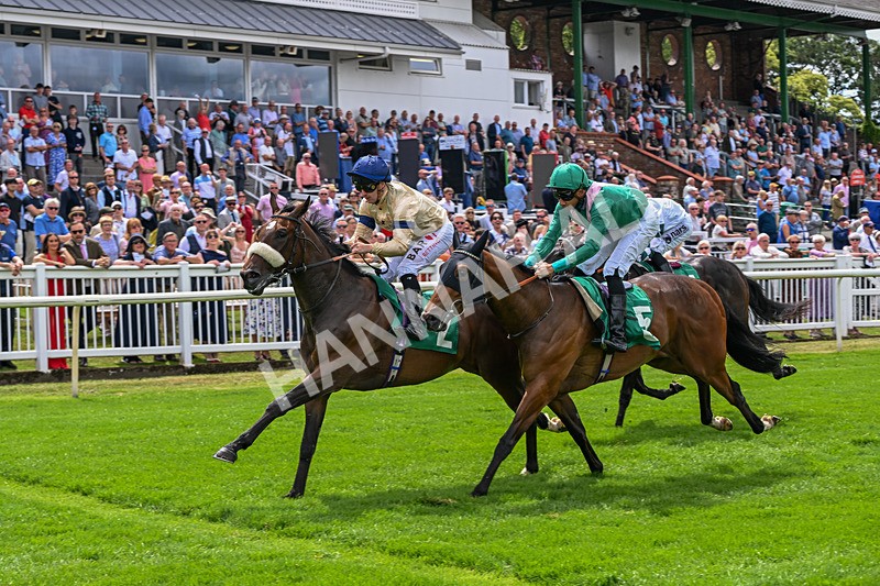 010726-Race 1-Kodiak Breeze-7653 - Race 1 13.08pm British EBF Restricted Novice Stakes (Div I)