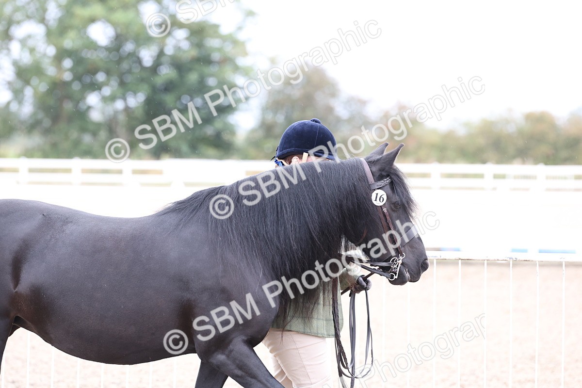 SBM_00011 - Class 50 - Best Turned Out IH