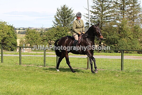 SIAL6963 - Ring 1 & 3