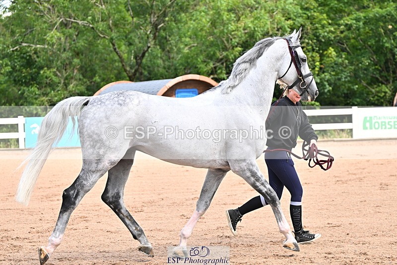 240718A-105236-00897 - Trot Up 11am to 12pm