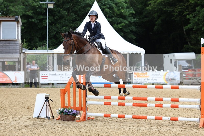 3E7A6482 - Class 4: Senior British Novice/90cm open