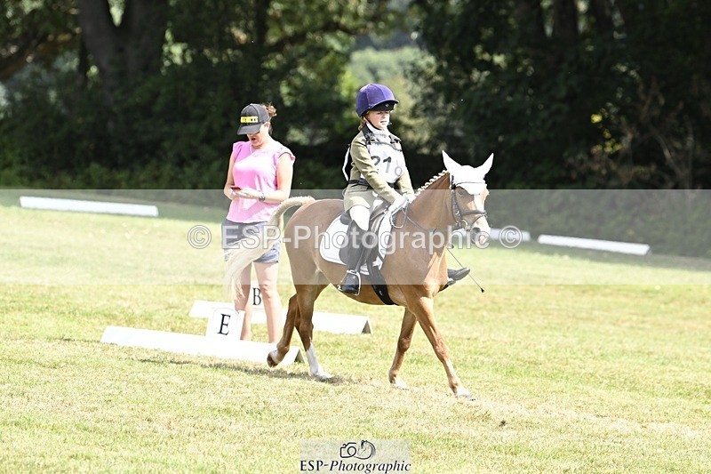 250822A-122042-22712 - DR 11.00 to 12.00