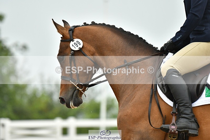 230708A-144235-03511 - Prelim 14