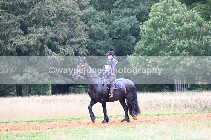 DSC_9582 - Time at Statue 15:11 to 15:58