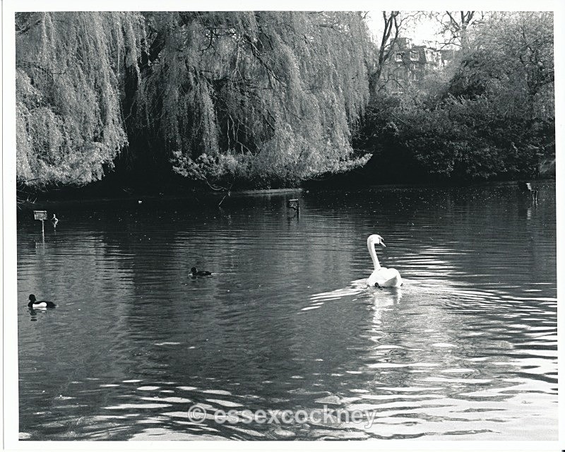  - Victoria Park Bethnal Green  1979~1980
