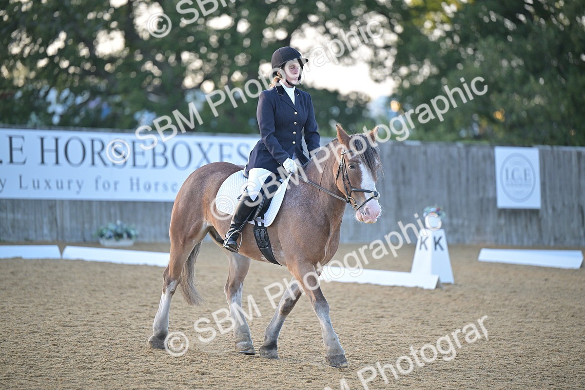 SBM_13522 - D3 - Small Tour Championship Intro 3