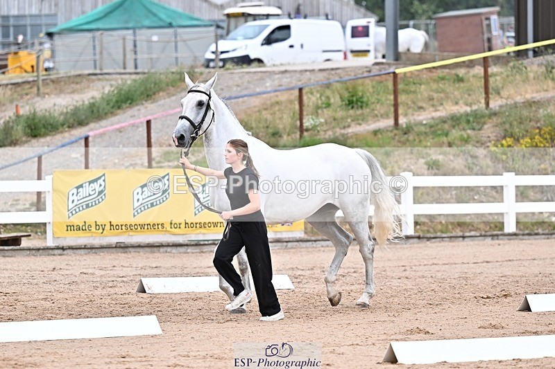 250716-134139-00638 - Trot Up 1.30 to 2.30