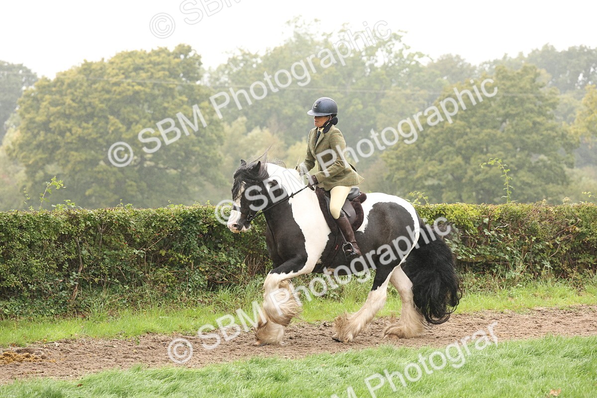 SBM_72734 - S70 - Traditional Cob Ridden