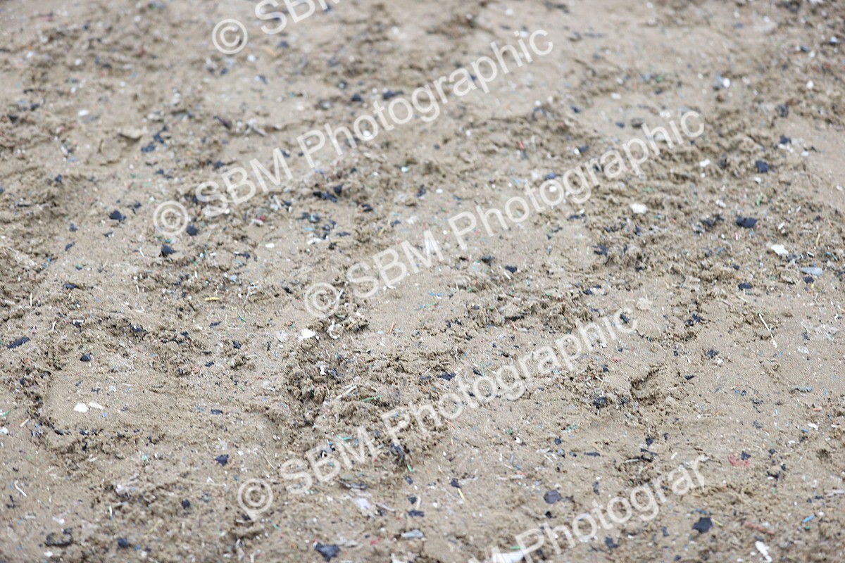 SBM_007485 - Class 31-32 - M&M Confined Novice Small-Large