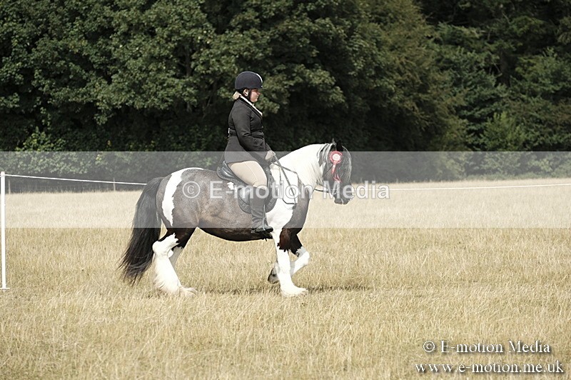 _PJP6113 - Ridden Championship BVRC Show 2018