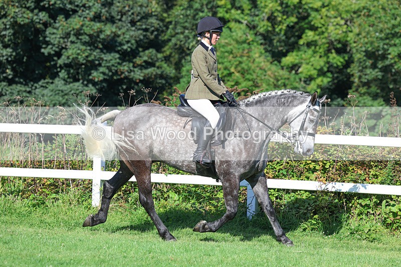 3E7A7825 - Class 2: Open Working Hunter pony