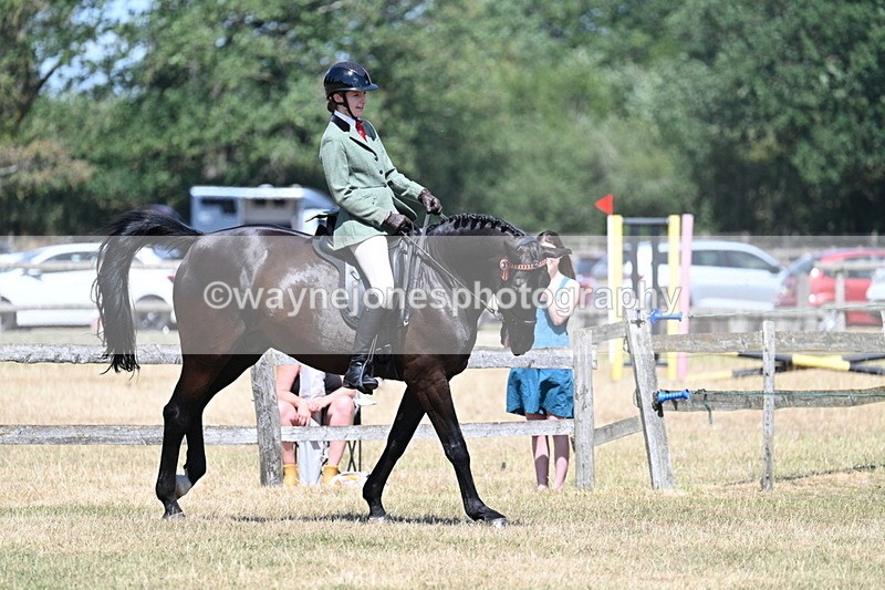 WJ7_3597 - Class 8 Ridden Veterans