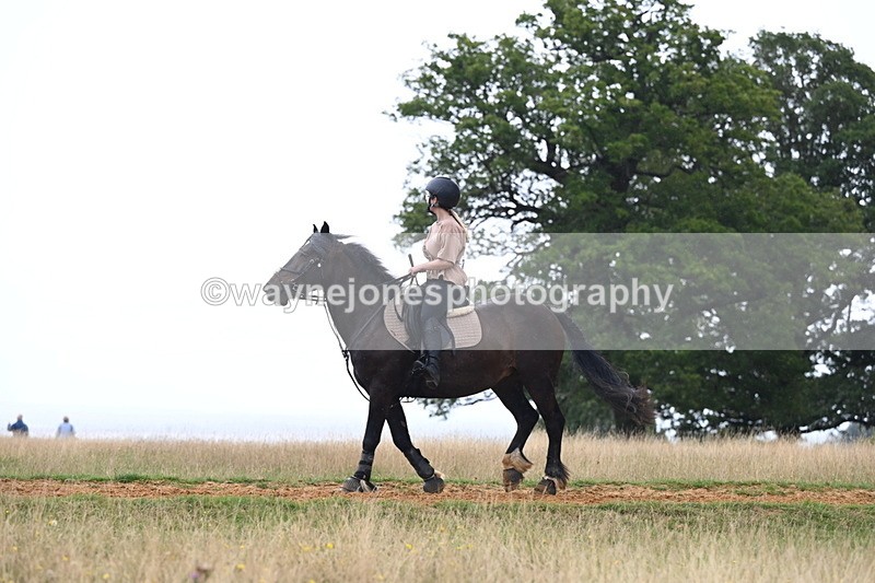 DSC_8347 - Time at Statue 13:52 to 14:33