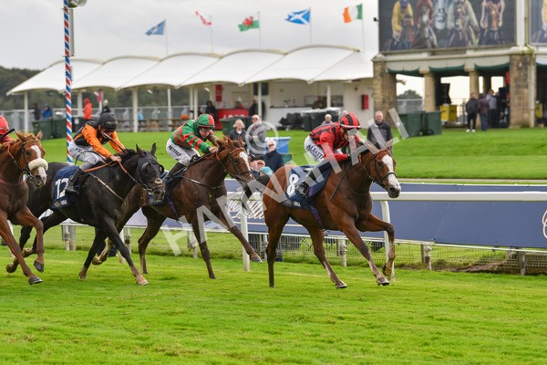 131023-Race 4-Hafeet Alain-9527 - Race 4 3.50pm William Hill Autumn Mile Handicap