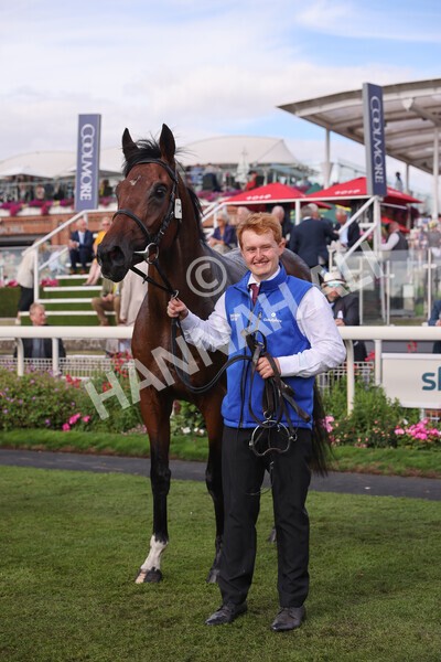 yr19082022r6-58 - Race 6 4.45 pm British Stallion Studs EBF Convivial Maiden Stakes