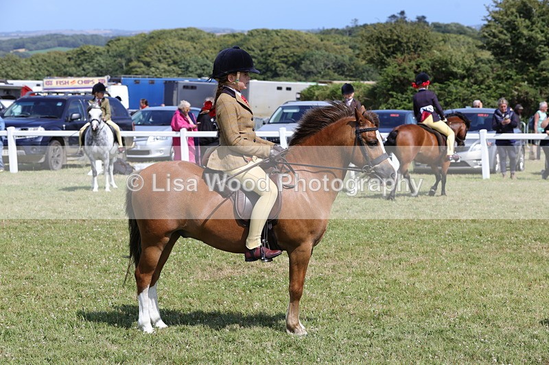 1X9A5410 - Class 37: NPS M&M First Ridden