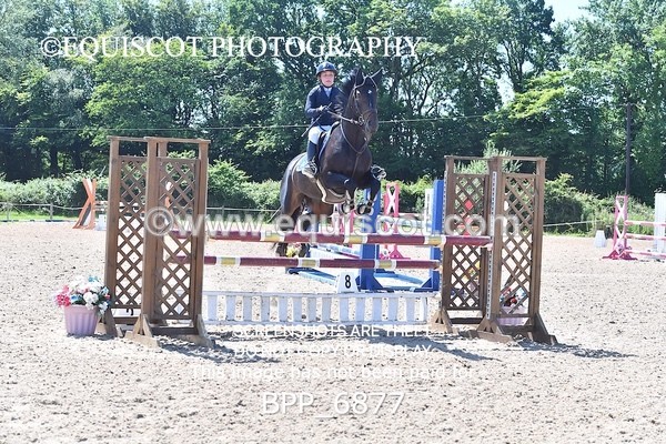 BPP_6877 - CLASS 6 Senior Newcomers/ 1.10m Open