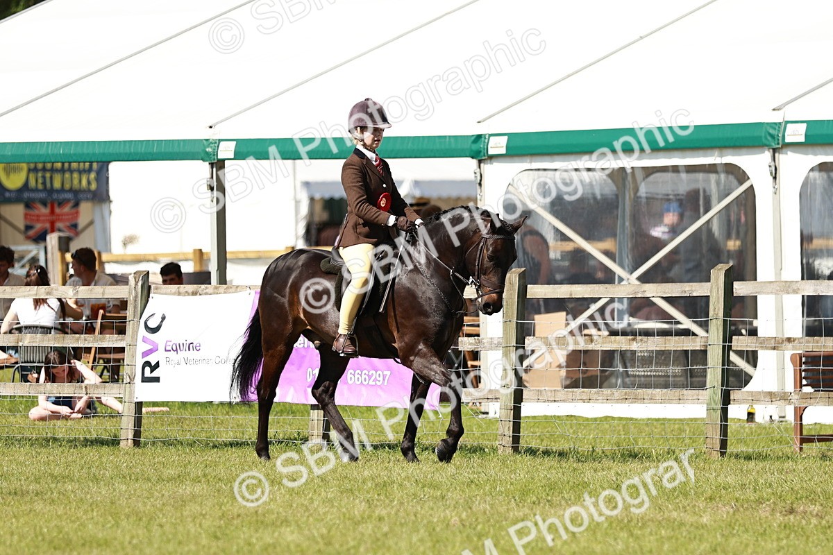 SBM_18510 - Class 112-113 - BSPS LIHS Working Sports Pony