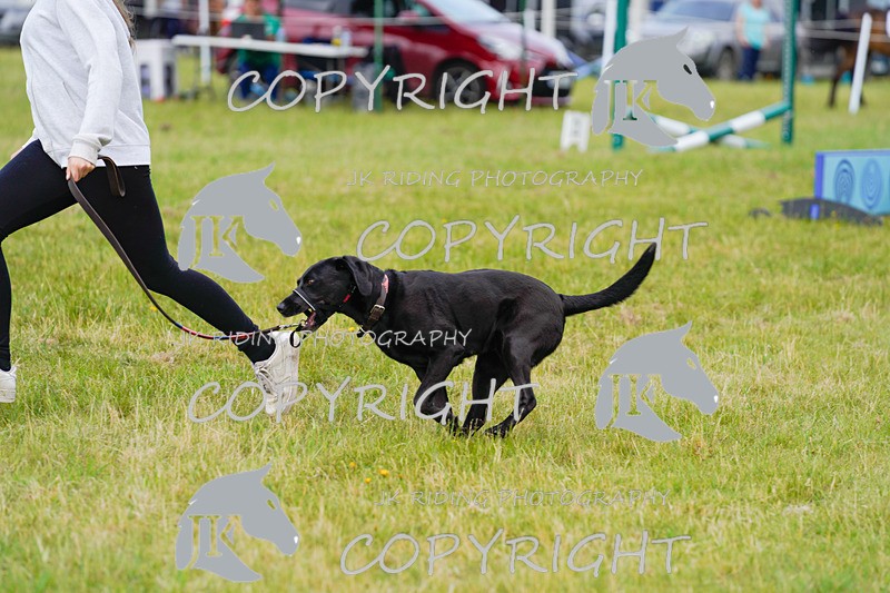 _DSC4865 - CLASS 7 HORSE & HOUND RING 2