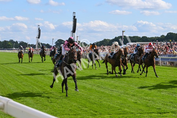 280625-Race 7-Titian-1298 - Race 7 5.25pm Al Basti Equiworld Dubai Amateur Jockeys' Handicap