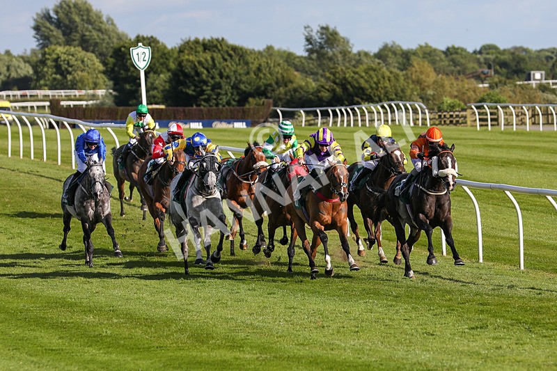 080624-Race 8-Resilience-5168 - Race 8