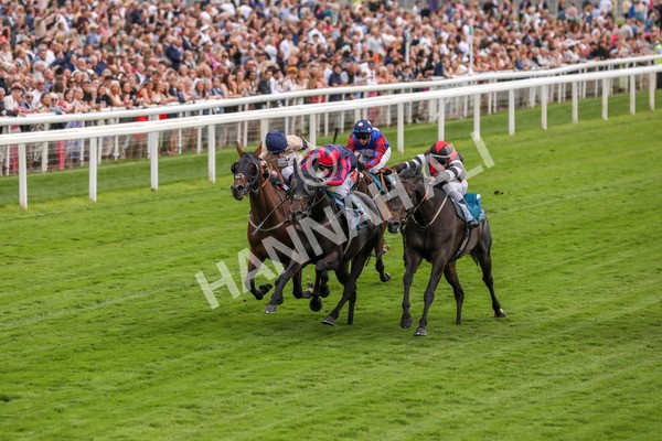 260724-Race 2-Churchella-3990 - Race 2 6.05pm Pearly Cow Handicap