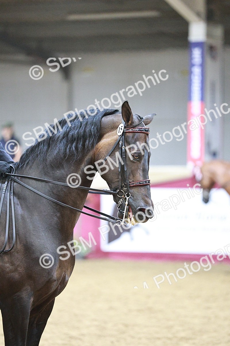 SBM_03354 - Class 6A Area Ridden Pre-Vet
