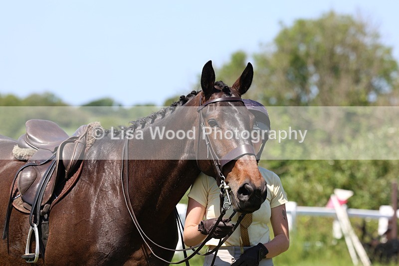 3E7A8529 - Class 13: Ridden Hunter