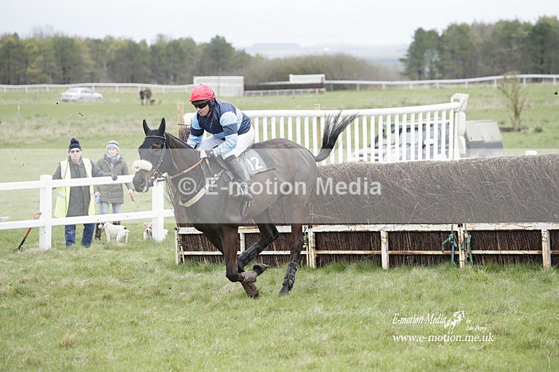 PtP 260323 0474 - New Forest Hounds Point-to-Point Larkhill 26/03/23