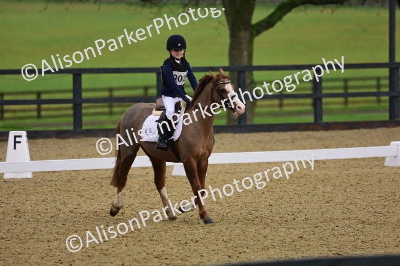 20260125-0656 - Class 9b - Walk Trot Unassisted